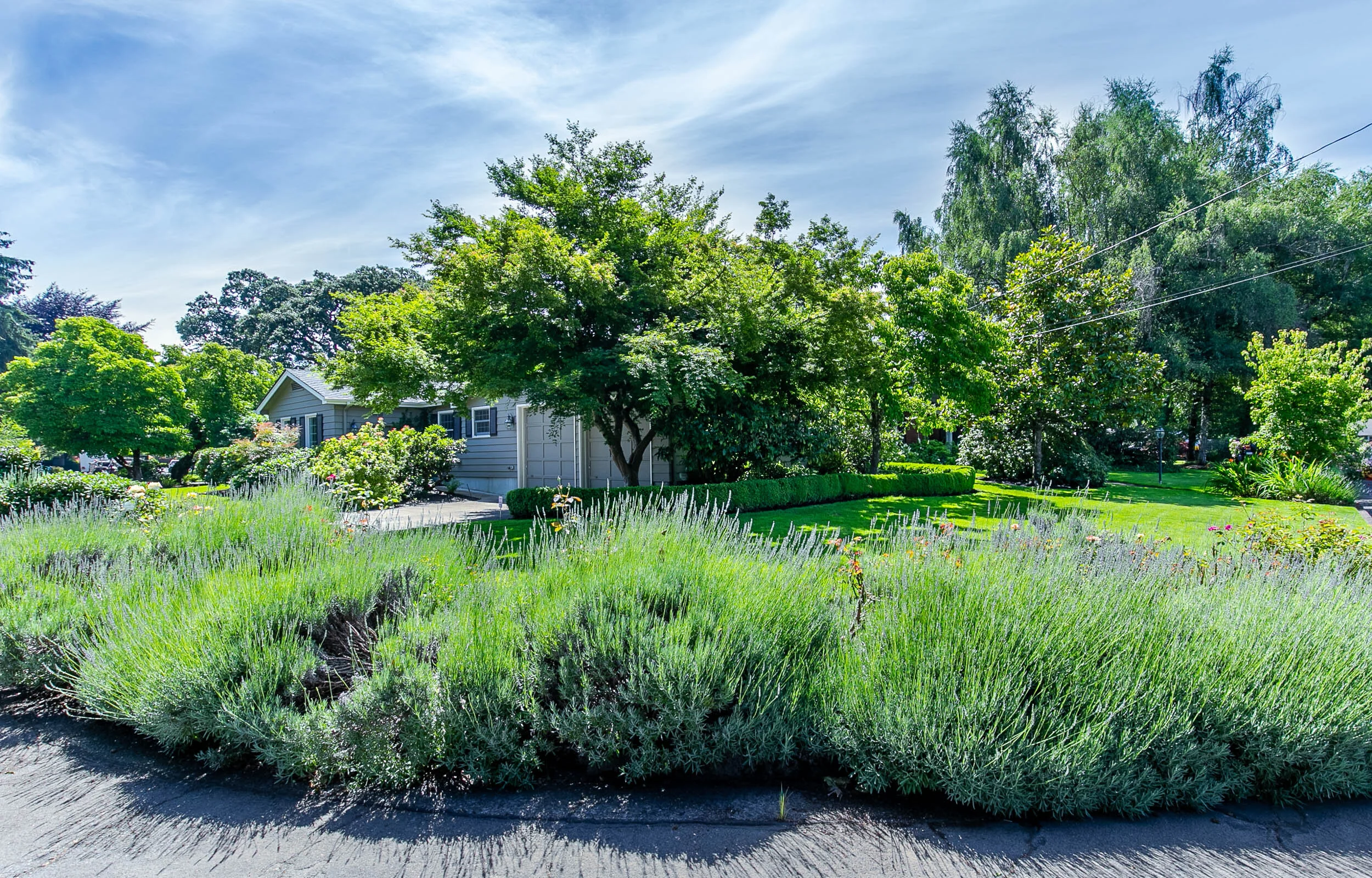 123_485 Fiar Oaks Dr_MG_5447-HDR.jpg