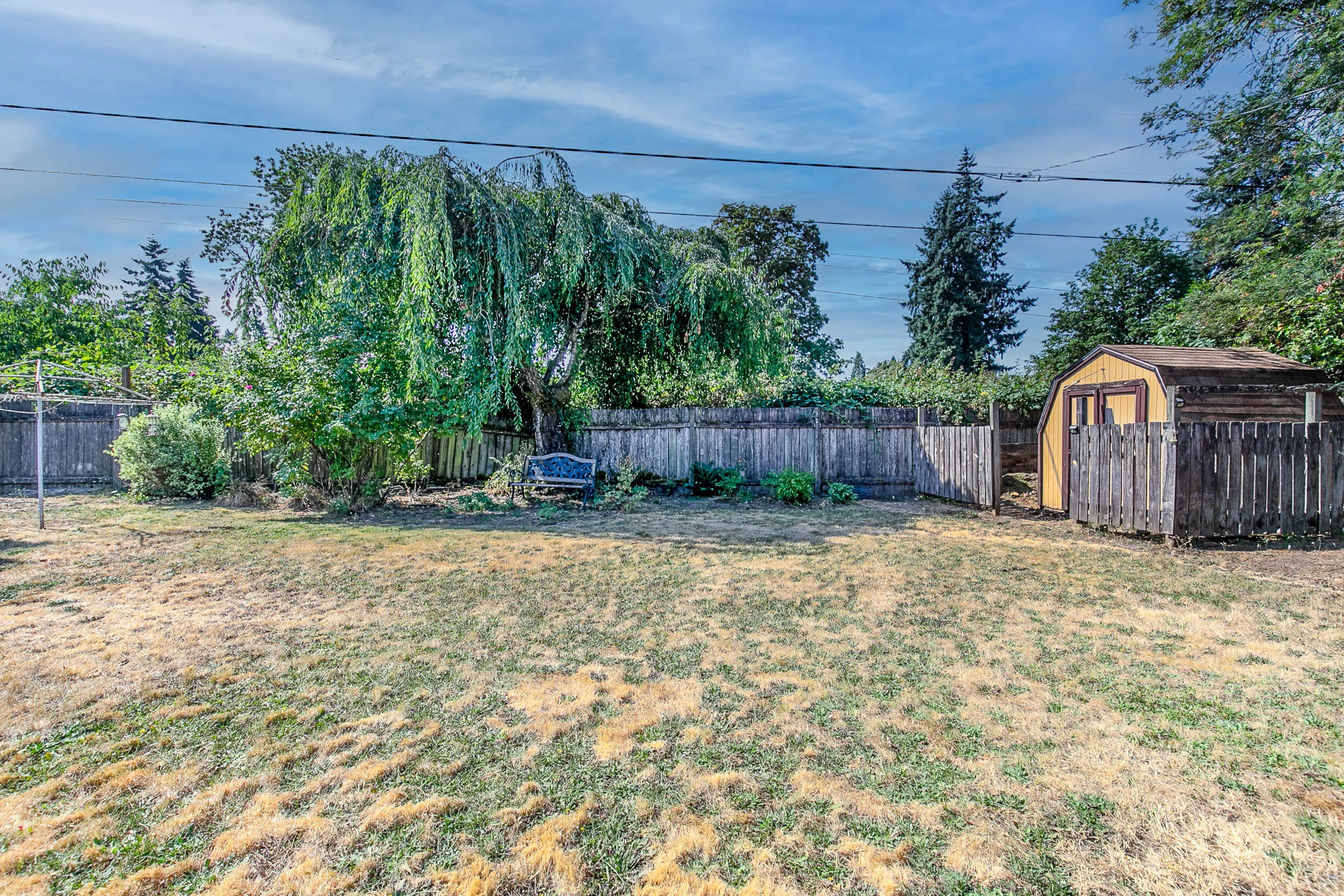 033_1615 Linden_MG_7886-HDR-Edit.jpg