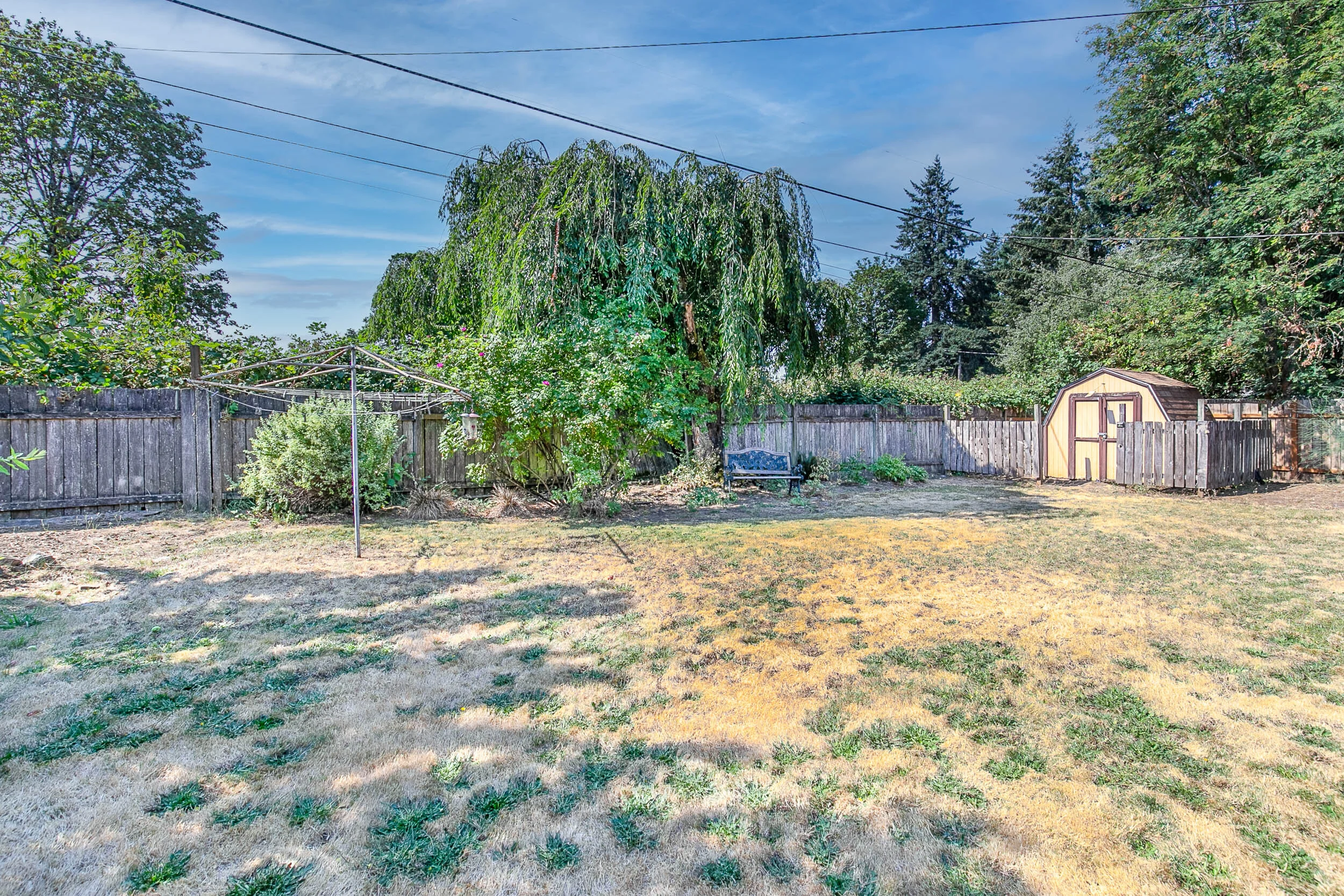 039_1615 Linden_MG_7921-HDR-Edit.jpg