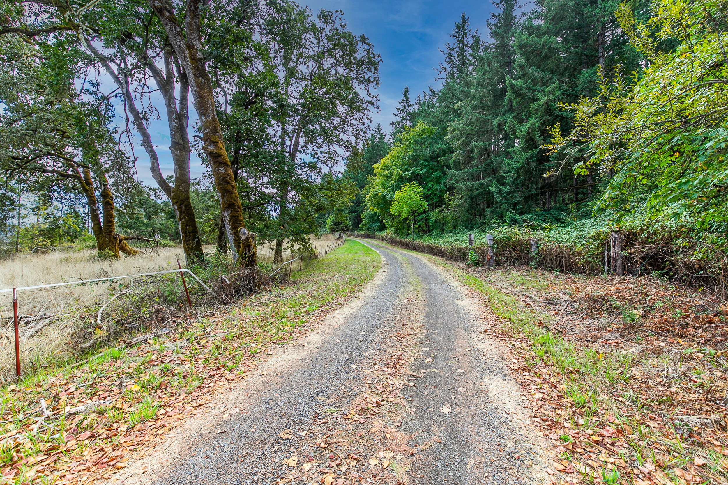 003_37666 OR 58_MG_4267-HDR-Edit.jpg