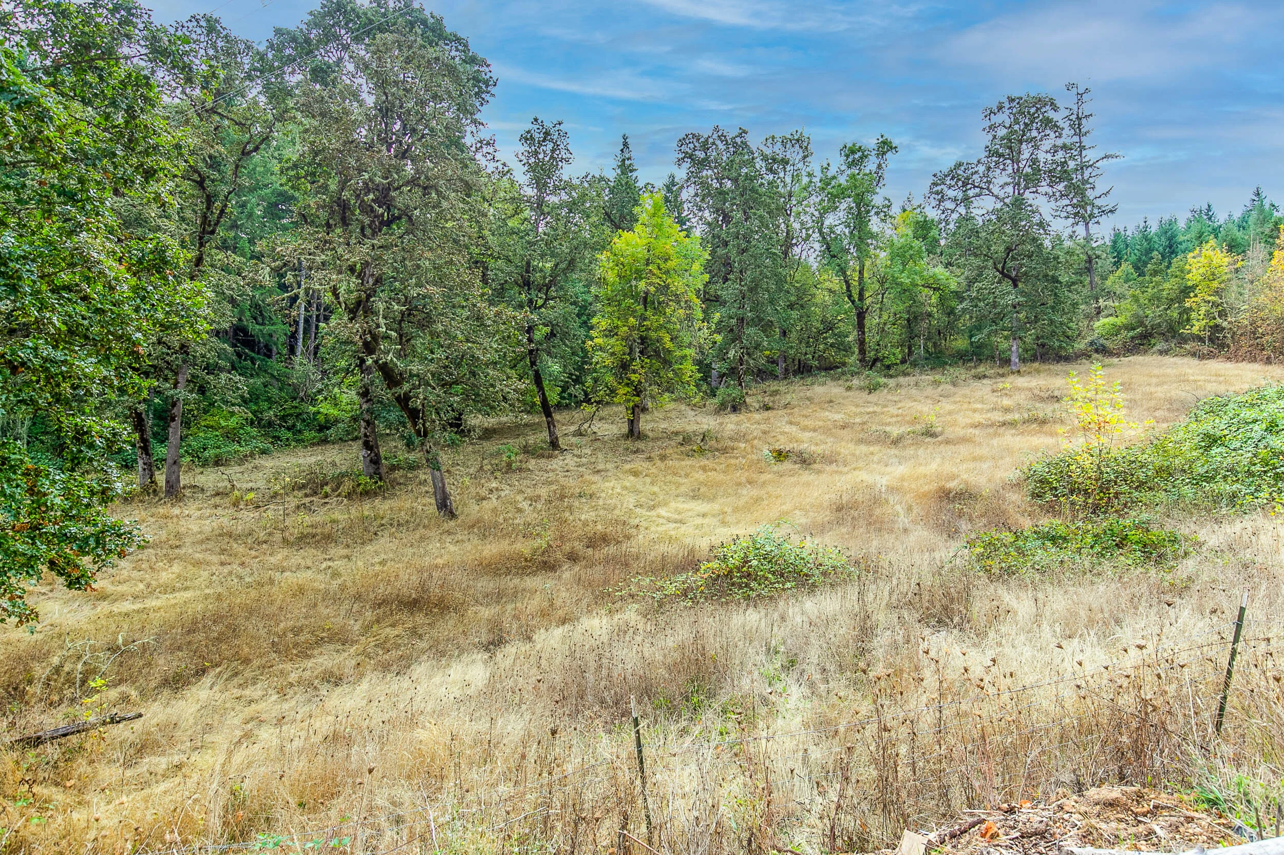 054_37666 OR 58_MG_4242-HDR-Edit.jpg