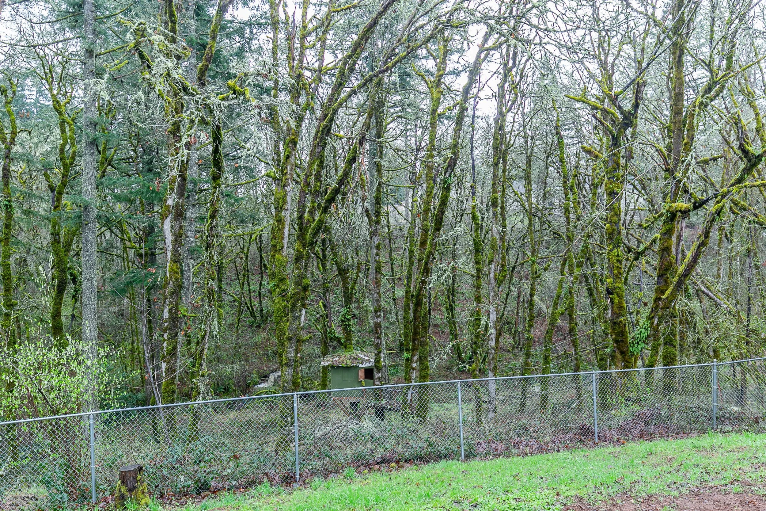 056_9046 NW Lessie Pl_MG_2874-HDR.jpg