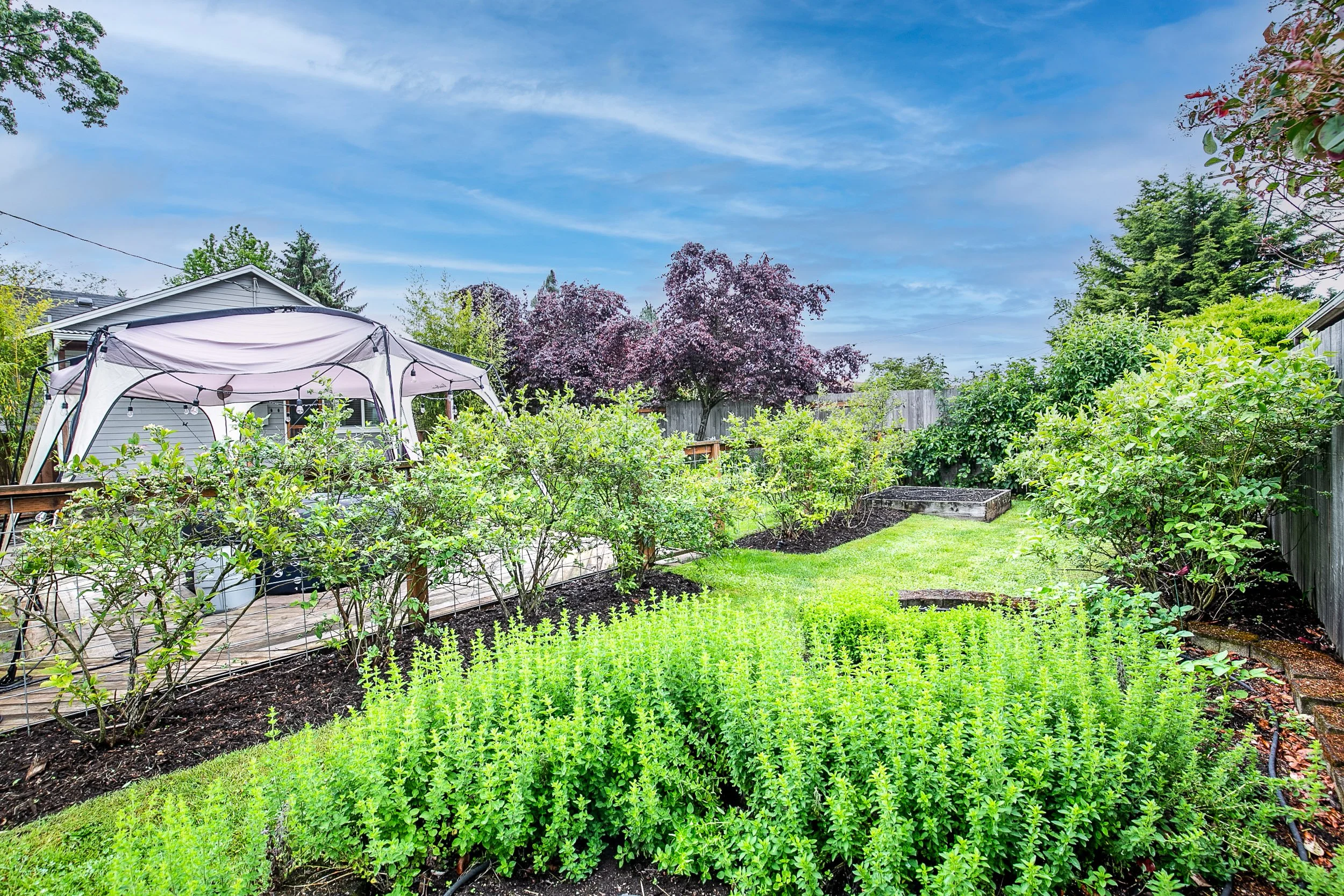 041_476 U St Springfield_MG_5184-HDR-Edit.jpg