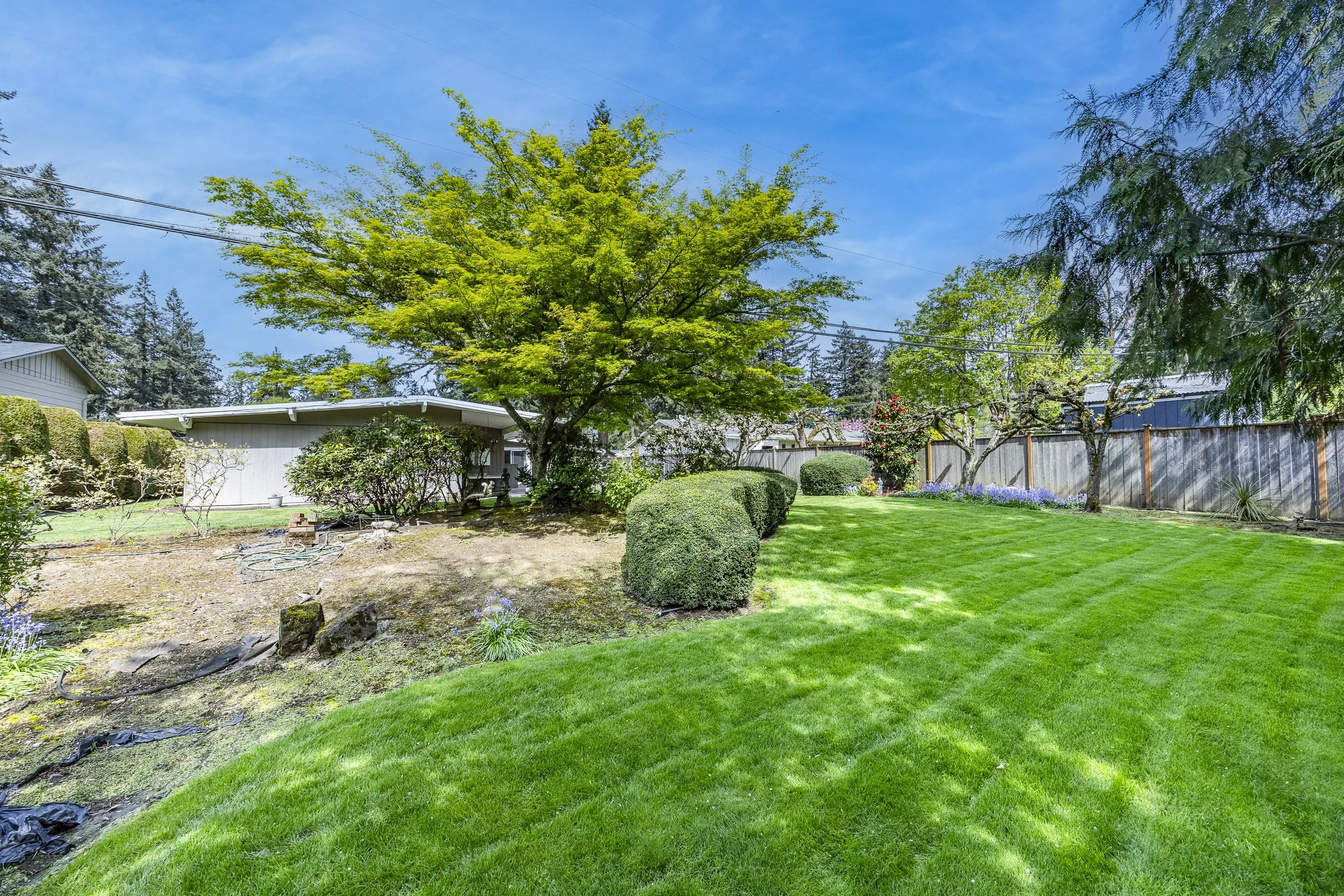 036_38 Kingsbury Ave1A1A7815-HDR-Edit.jpg