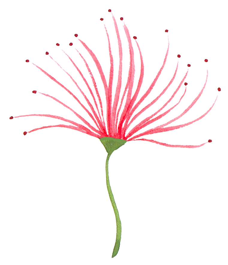 red flower 3.png