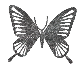 butterfly transparent background-03.png