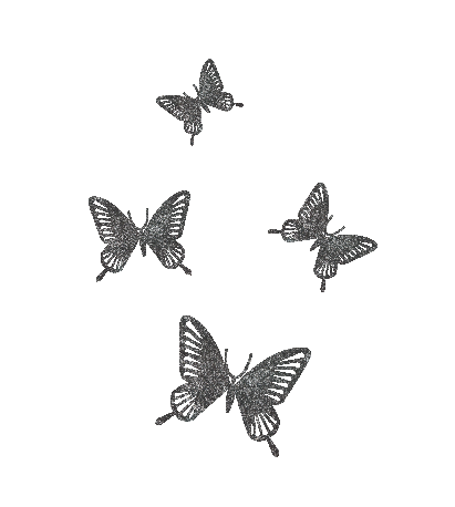 butterflies transparent background-03.png