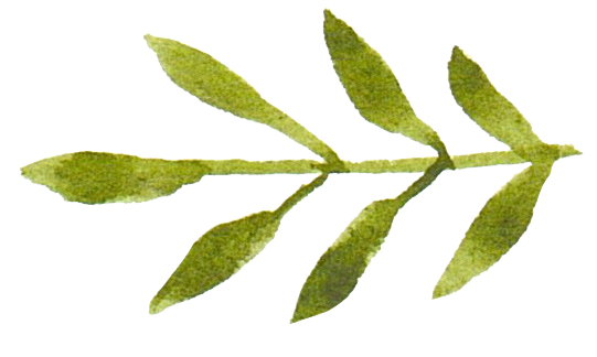 leaves 8.png
