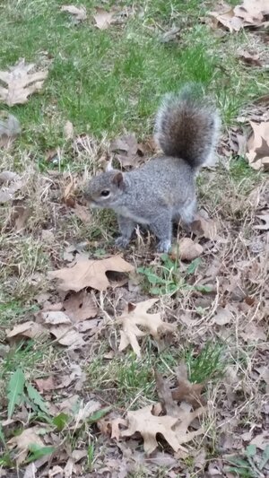 20180415_154454.jpg