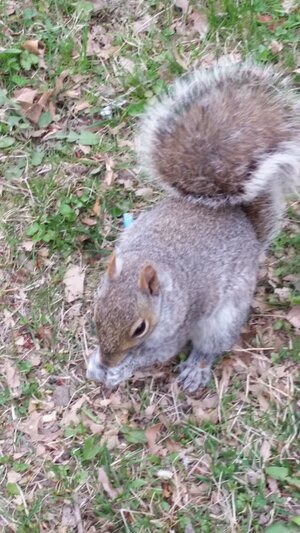 20180415_154843.jpg