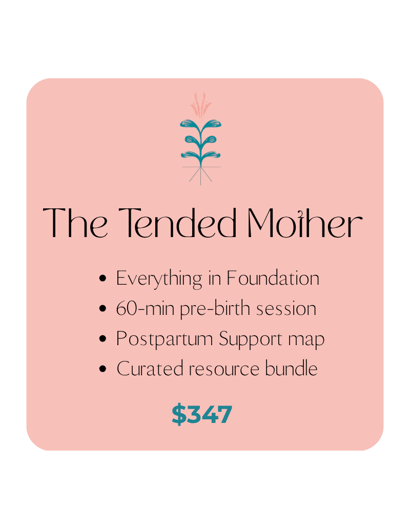 TLM pricing tier cards (10).png