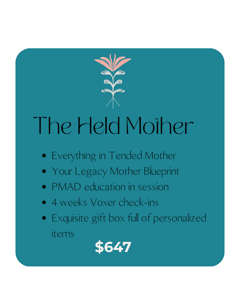 TLM pricing tier cards (9).png