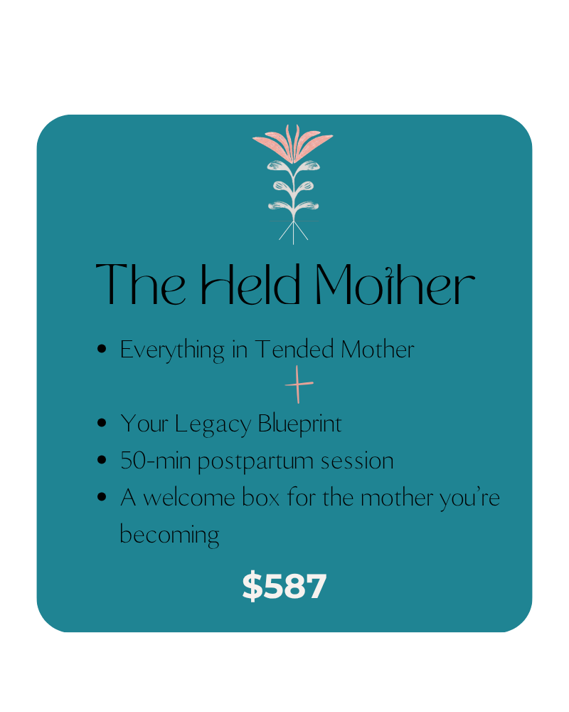TLM pricing tier cards (17).png