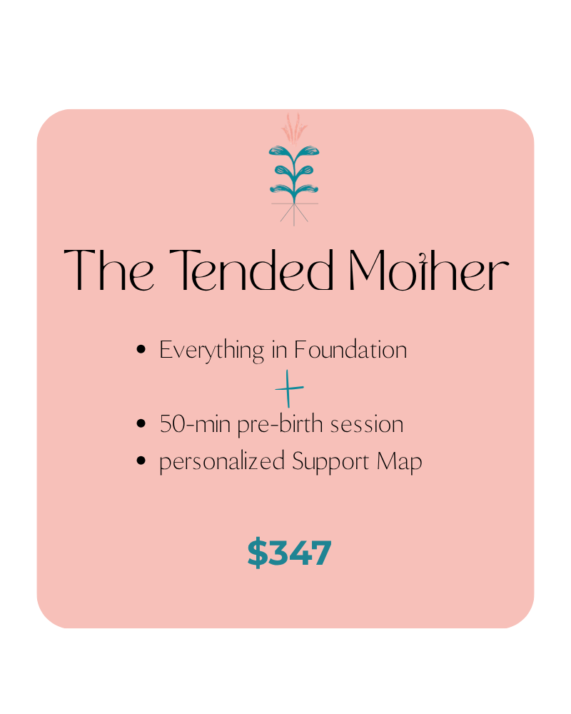 TLM pricing tier cards (19).png