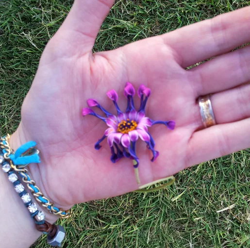 Mummy hand flower_515.jpg