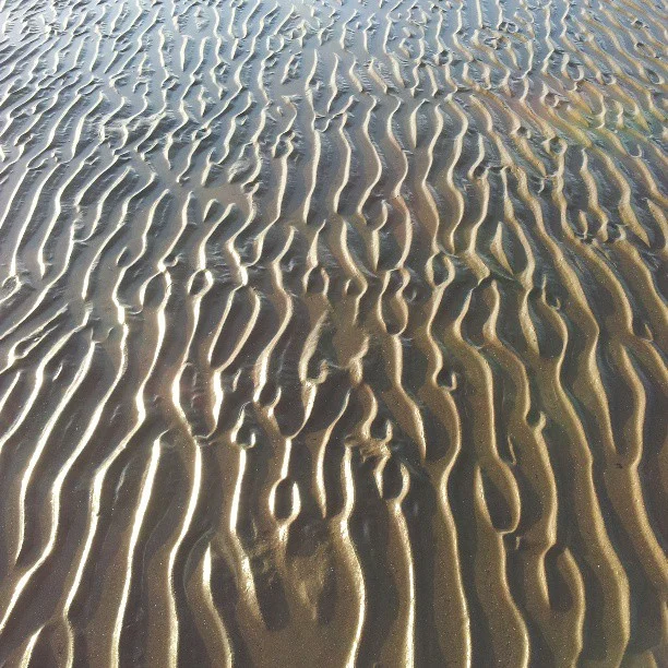Tidal ripples