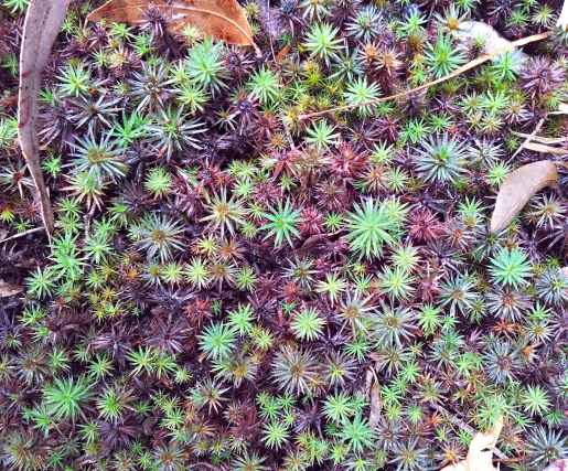 2013-10-12 13.51.39_515.jpg