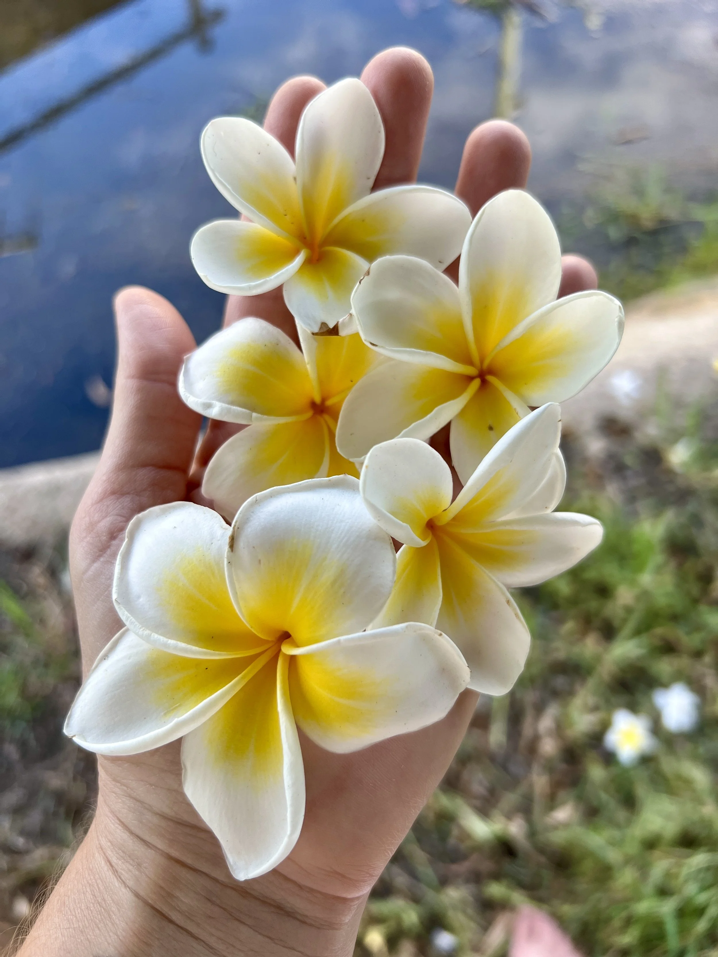 How to find neuro-affirming supports