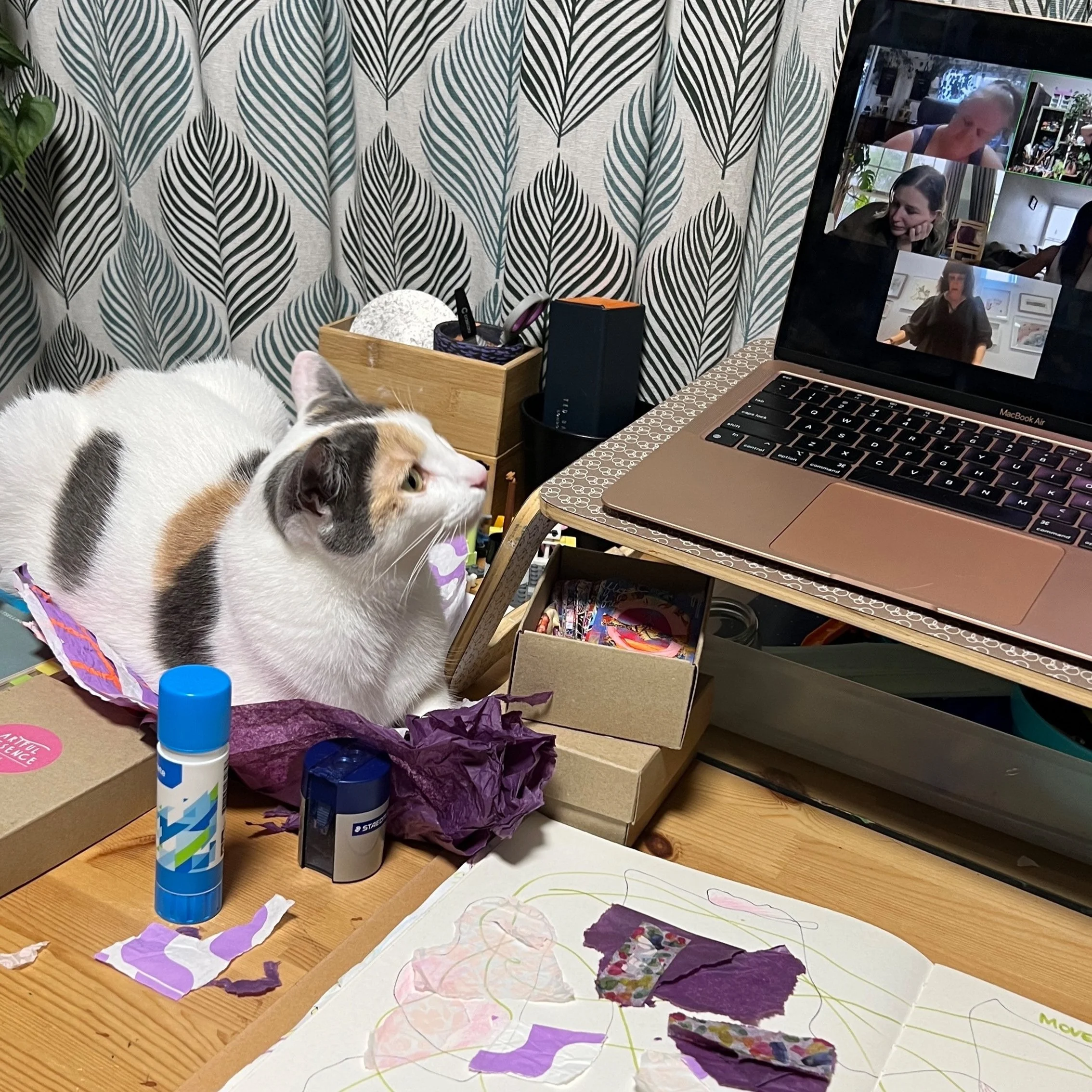 A room with a patterned leaf wallpaper, a wooden desk with art supplies, a MacBook Air laptop showing a video call, and a calico cat lying on a paper art project.