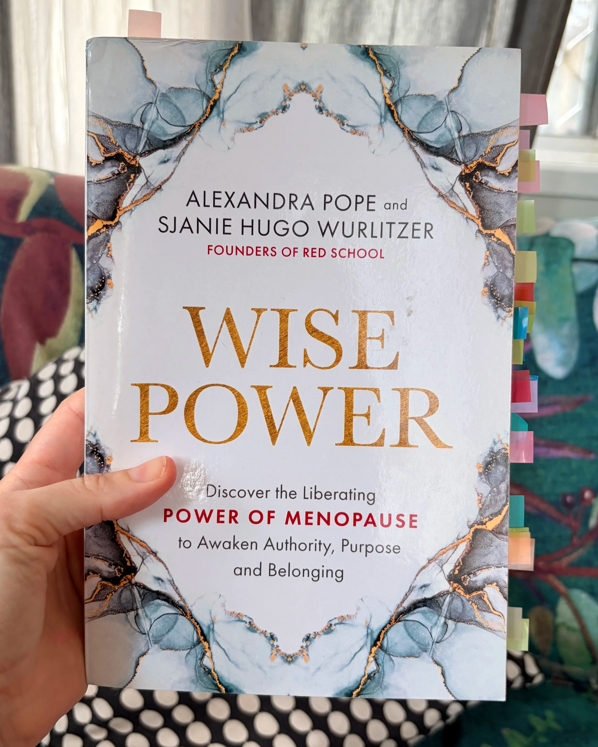wise power book by Alexandra Pope and Sjanie Hugo Wurlitzer