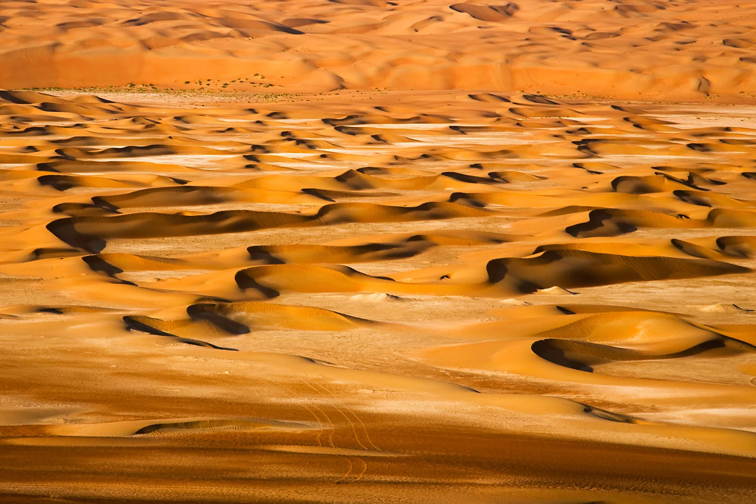 Omani Desert