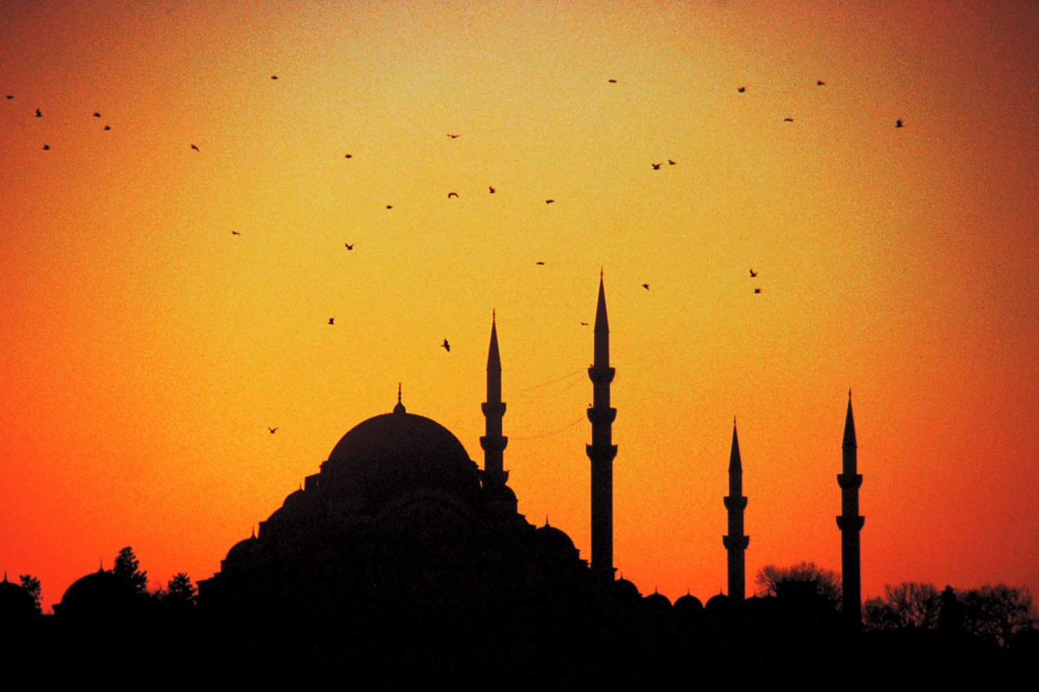 Blue Mosque