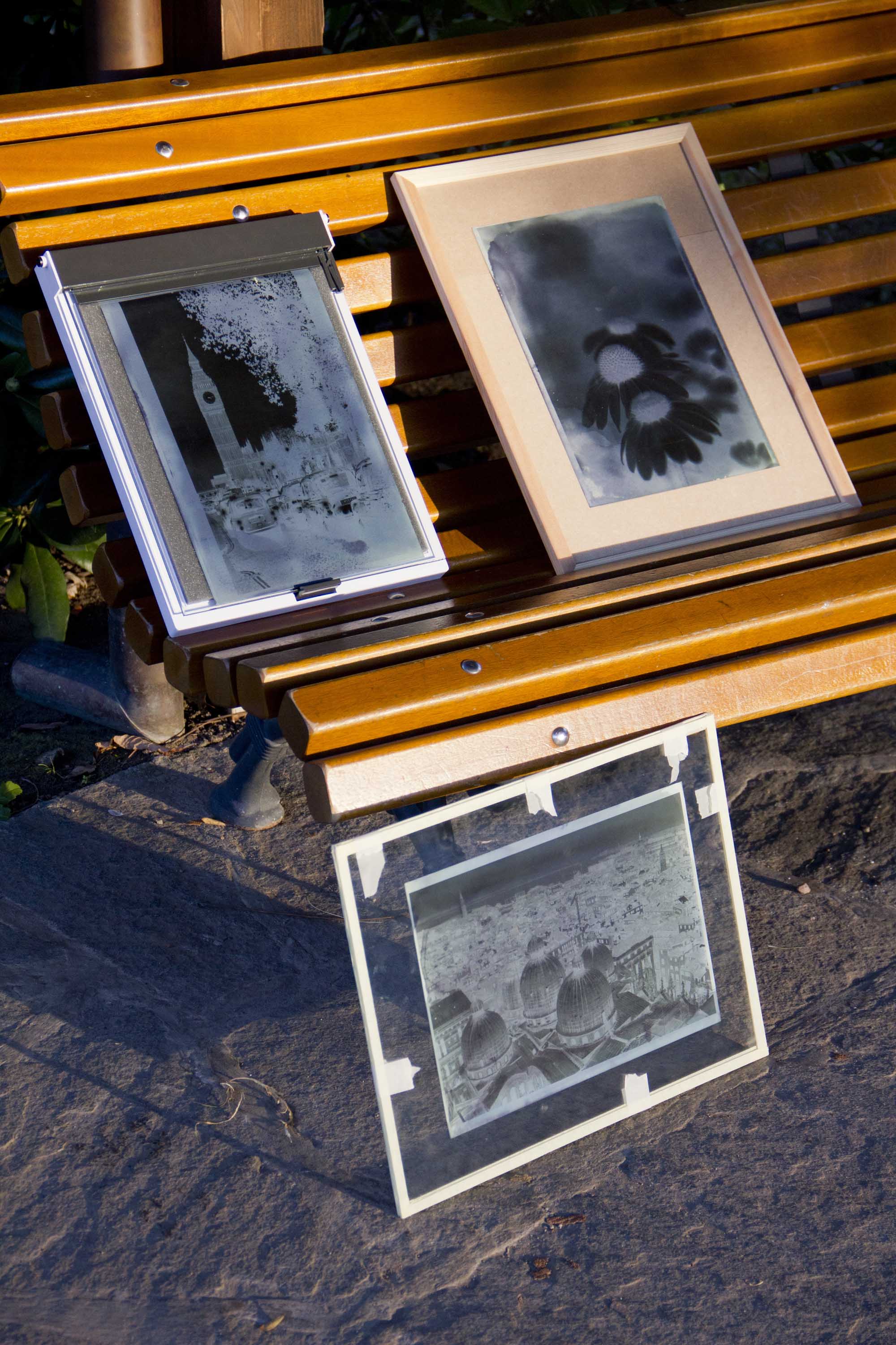 cyanotype photos.jpg