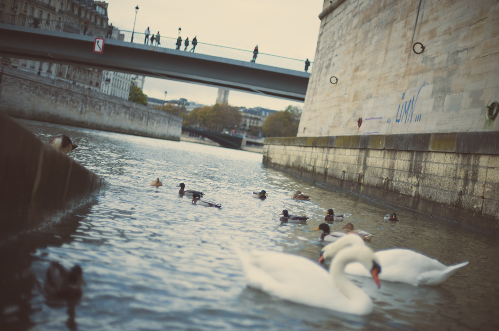 20121108-vcm-88.jpg
