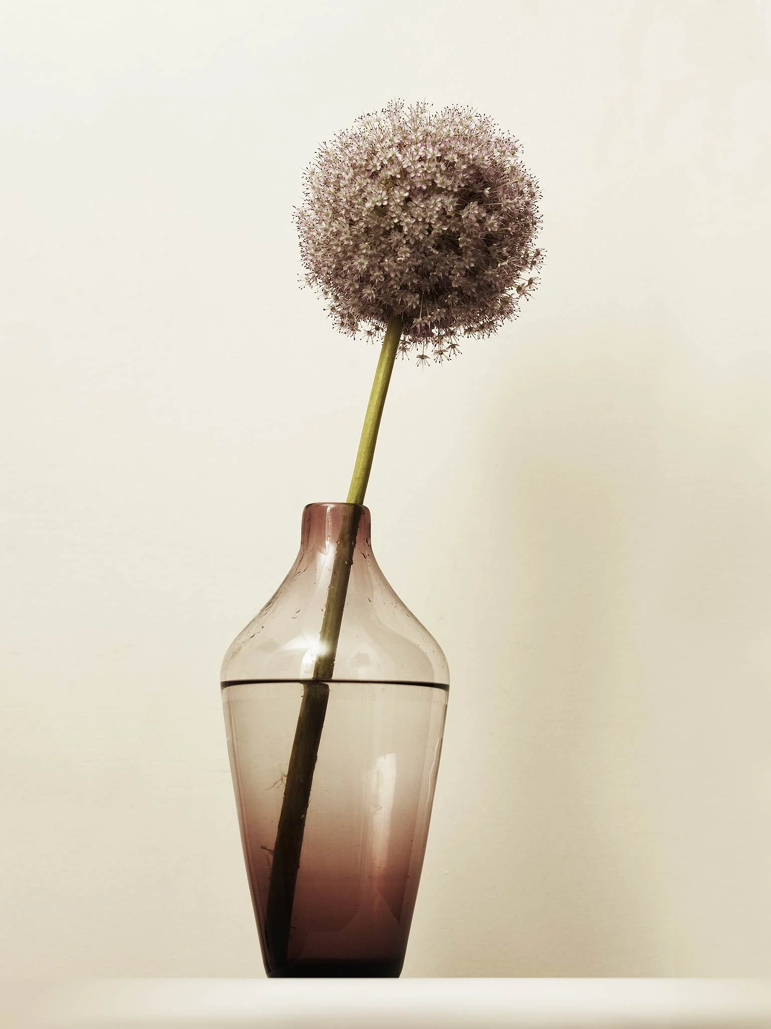 0031_Stills.jpg
