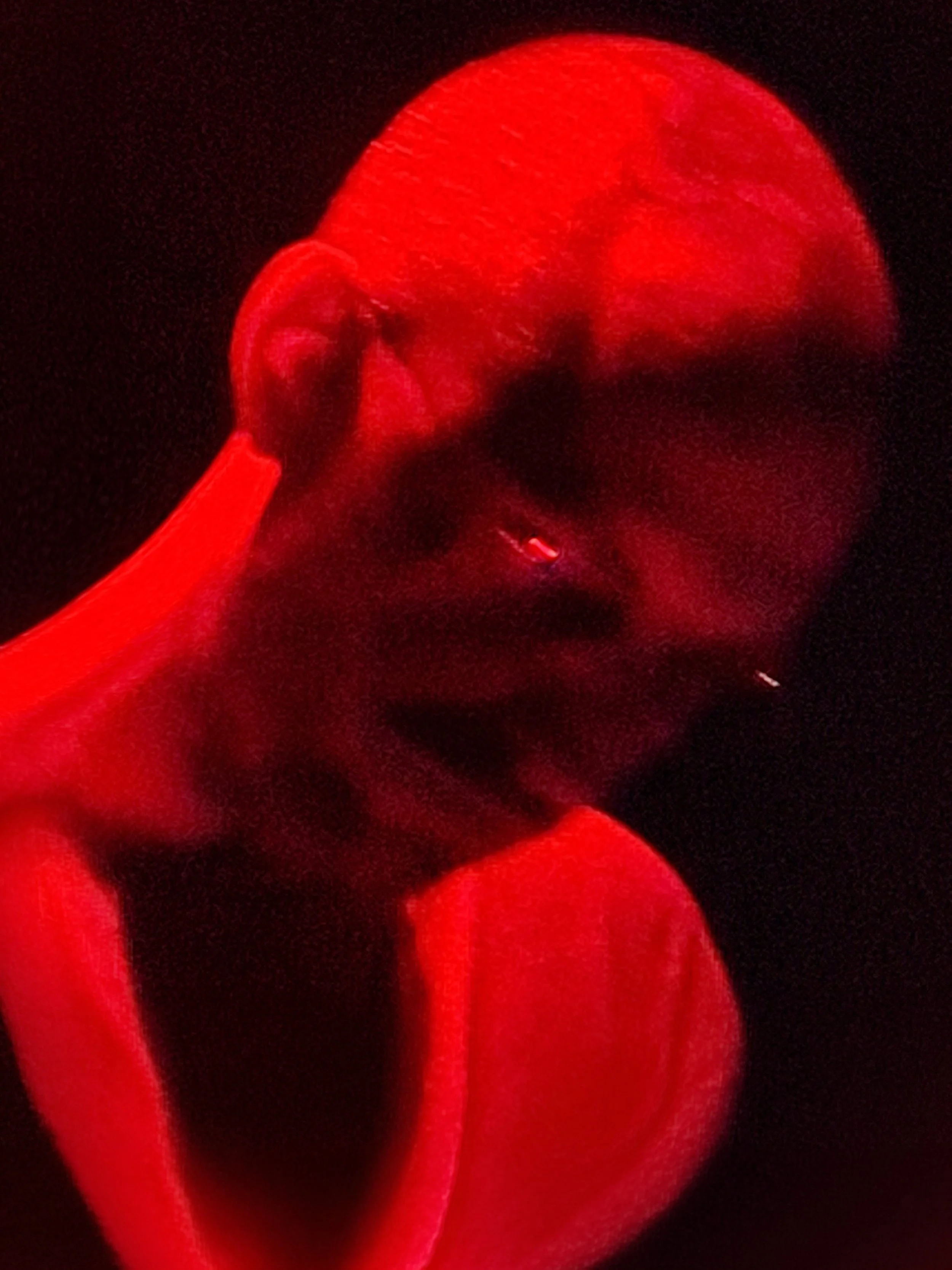 IMG_20260228_193647_DRO 2 Version.jpg