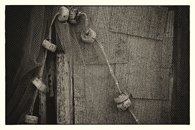 ©Lee Anne White