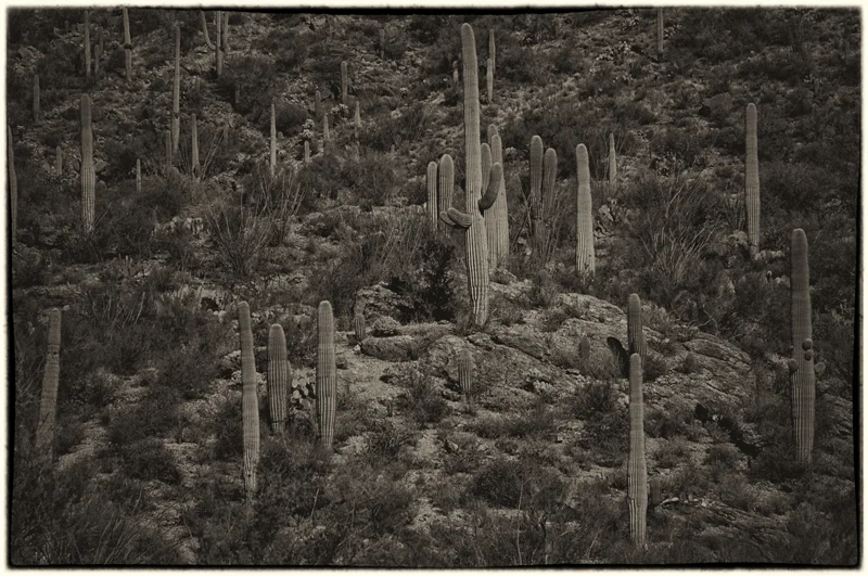 All photos ©Lee Anne White