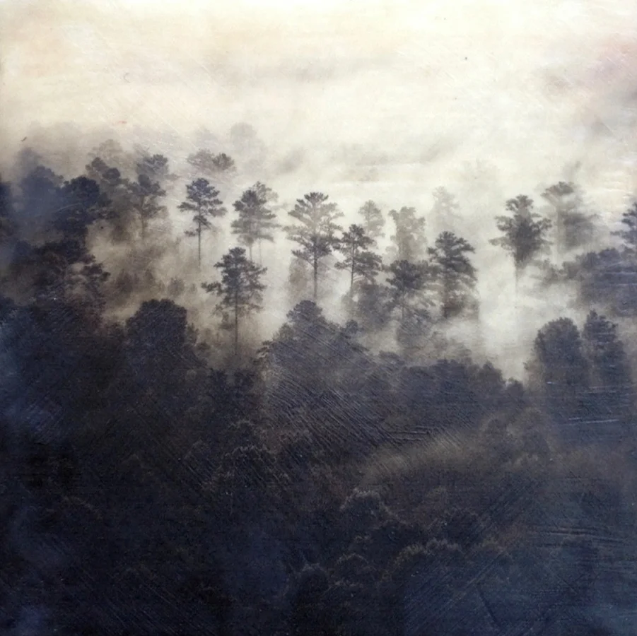 Photo ©2014 Lee Anne White