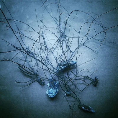 From the Sea. iPhone image. ©2015 Lee Anne White.