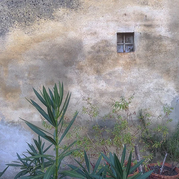 Tuscan Wall and Herbs . I stumbled across these containers of herbs growing against a beautiful wall with a tiny window in a back alleyway in San Giovanni d'Asso, Tuscany, where we stopped for the annual White Truffle Festival. I wish I could share the way that town smelled with everyone cooking truffle-infused dishes! ©2015 Lee Anne White