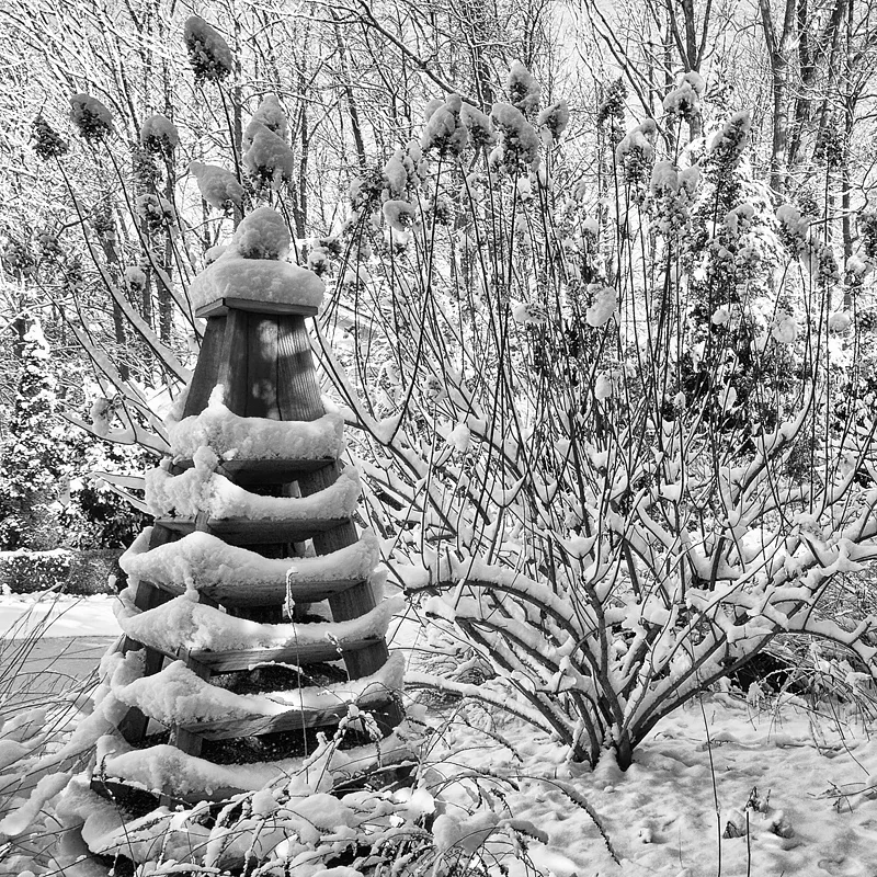 A rare snowy day in my southern garden. ©2010 Lee Anne White
