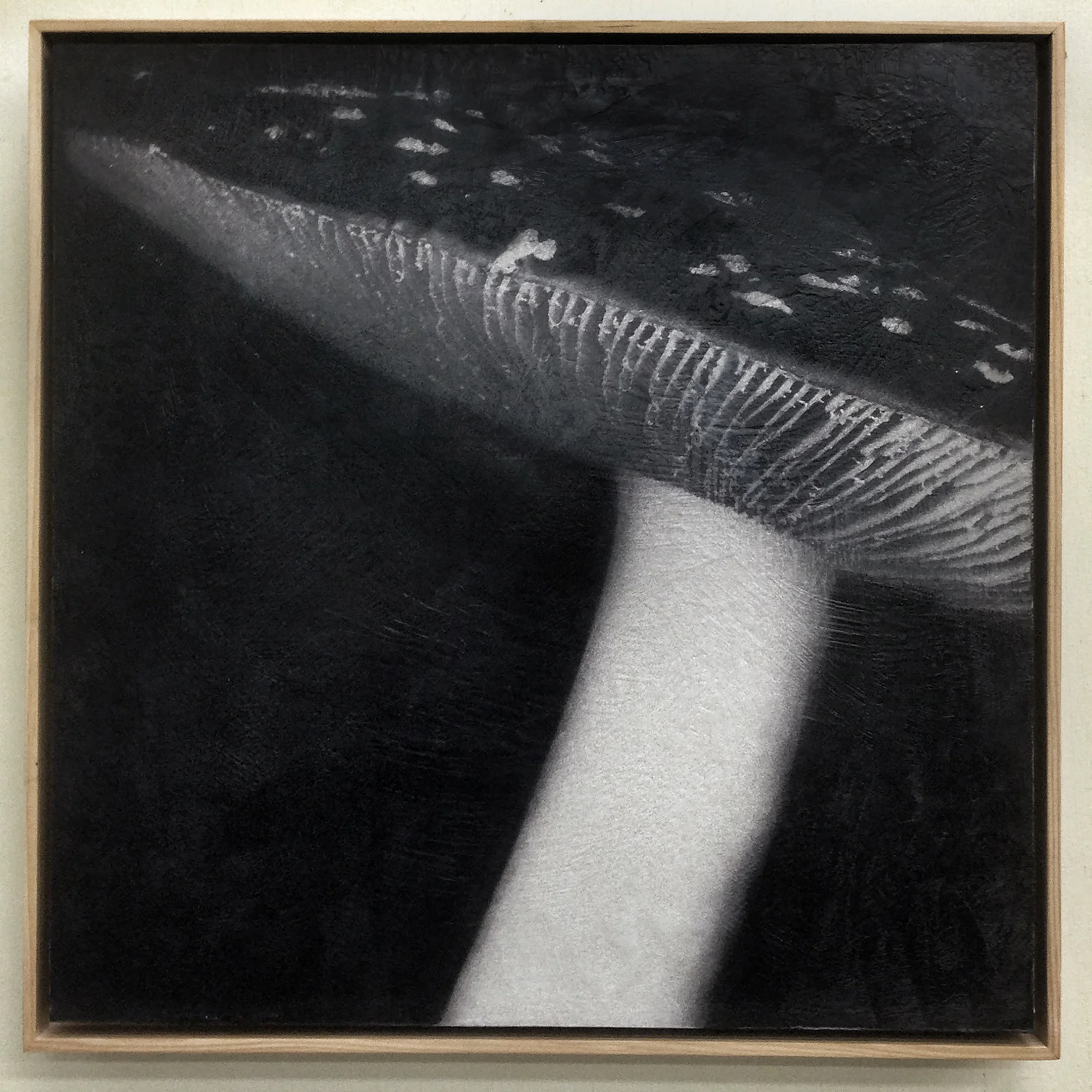 Amanita muscari . 20"x20" photo encaustic in natural wood frame.