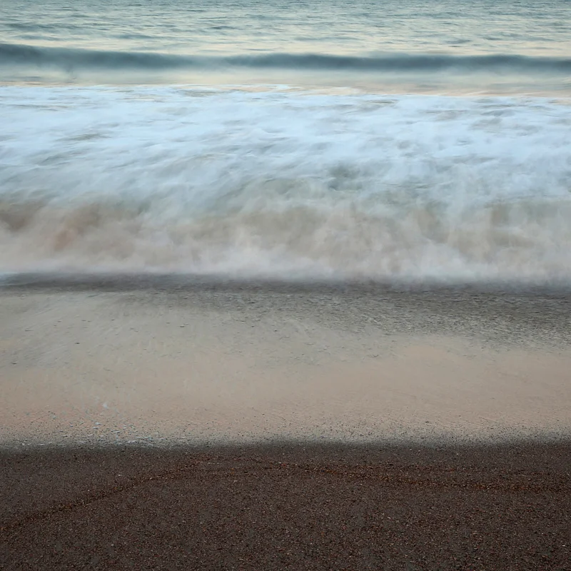 Untitled . Photographed this week on Amelia Island. ©2017 Lee Anne White.