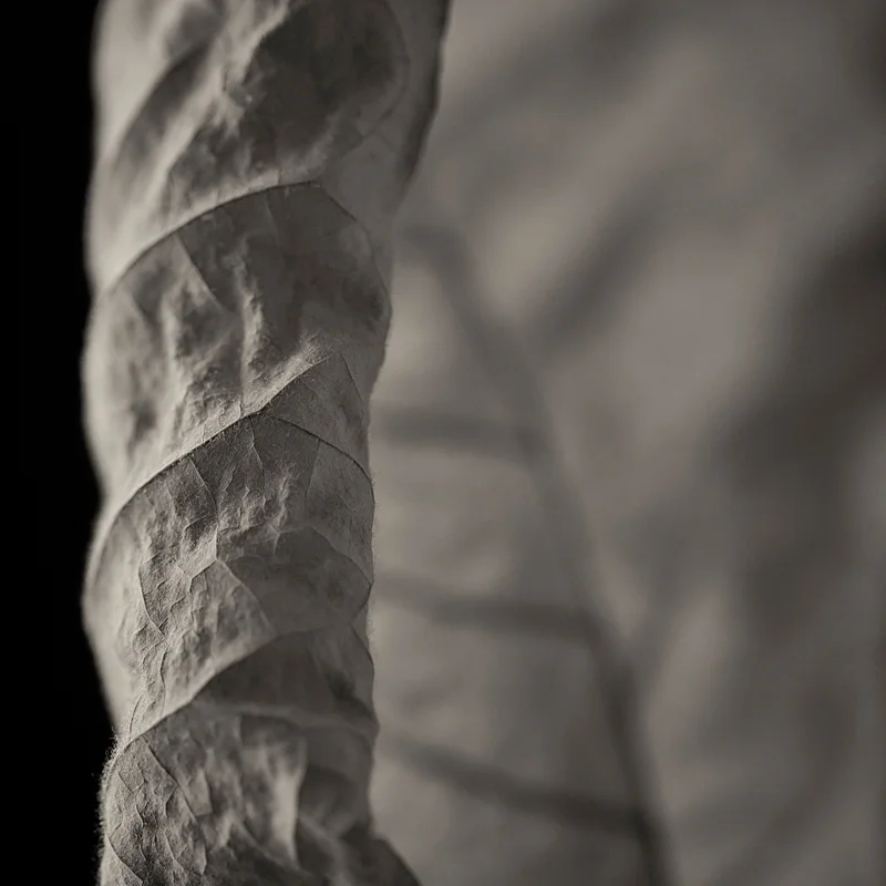Detail. Leaf of bigleaf magnolia ( Magnolia macrophylla ). ©2016 Lee Anne White.