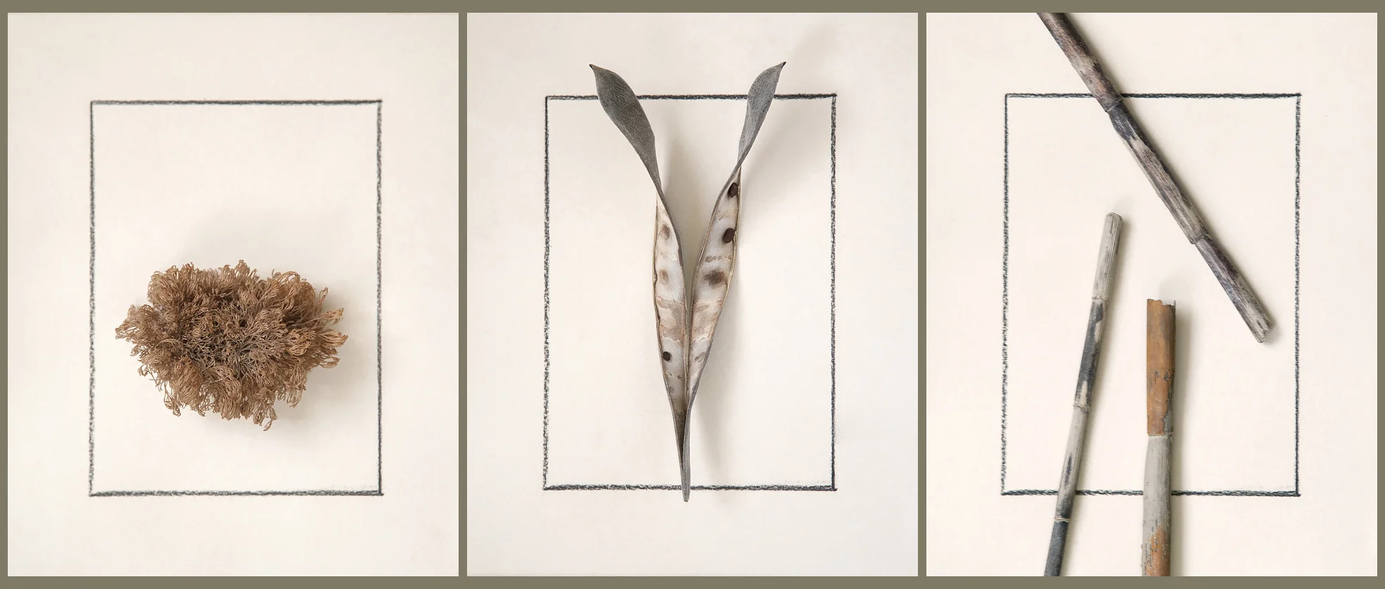 Practice led to experimenting with the placement of objects within, breaking the boundary of and and extending well beyond a box. Photo ©2014 Lee Anne White.