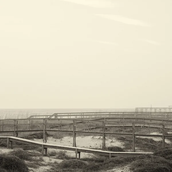 Crossing the Dunes. Fernandina Beach, FL . Photo ©Lee Anne White.