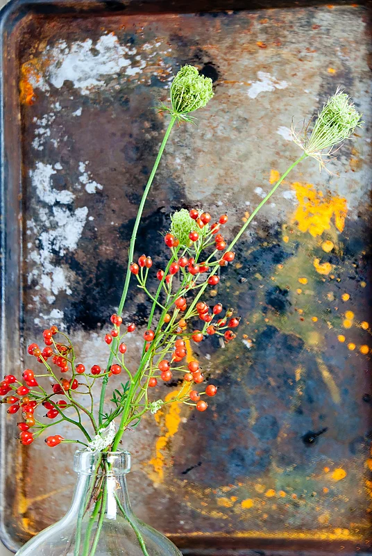 ©Barbara Nevaldine