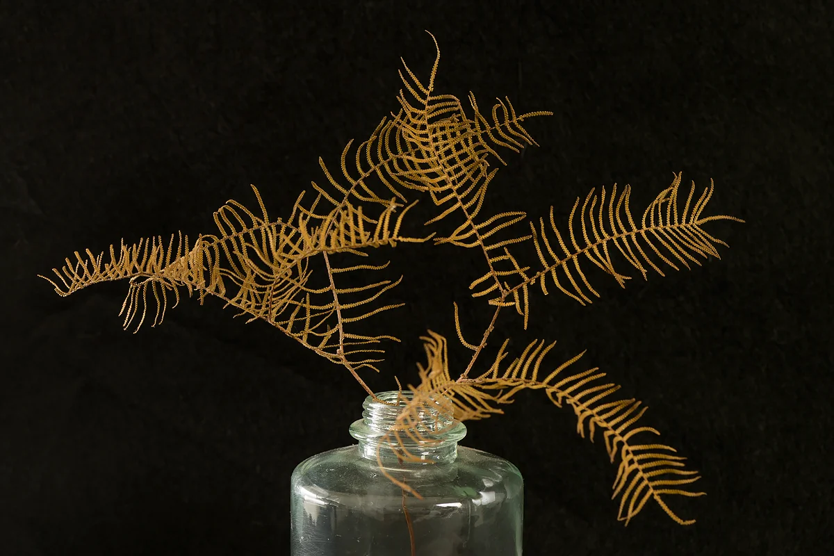 ©Ruth McCully