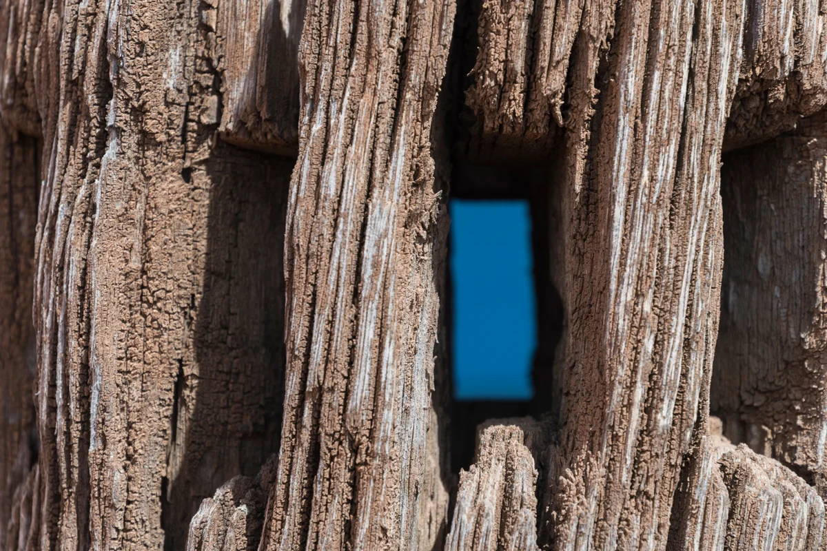 ©Ruth McCully