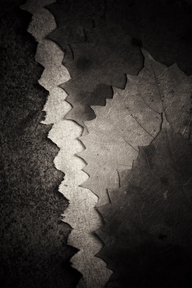 ©Lin Eagle