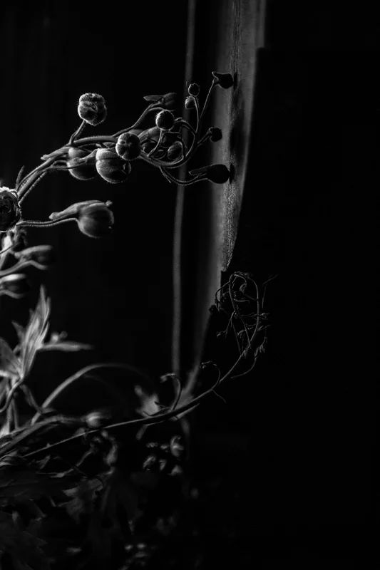 ©Jordana Munk Martin