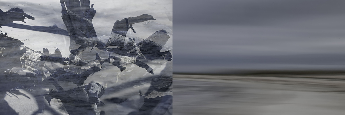 ©Ann Leese