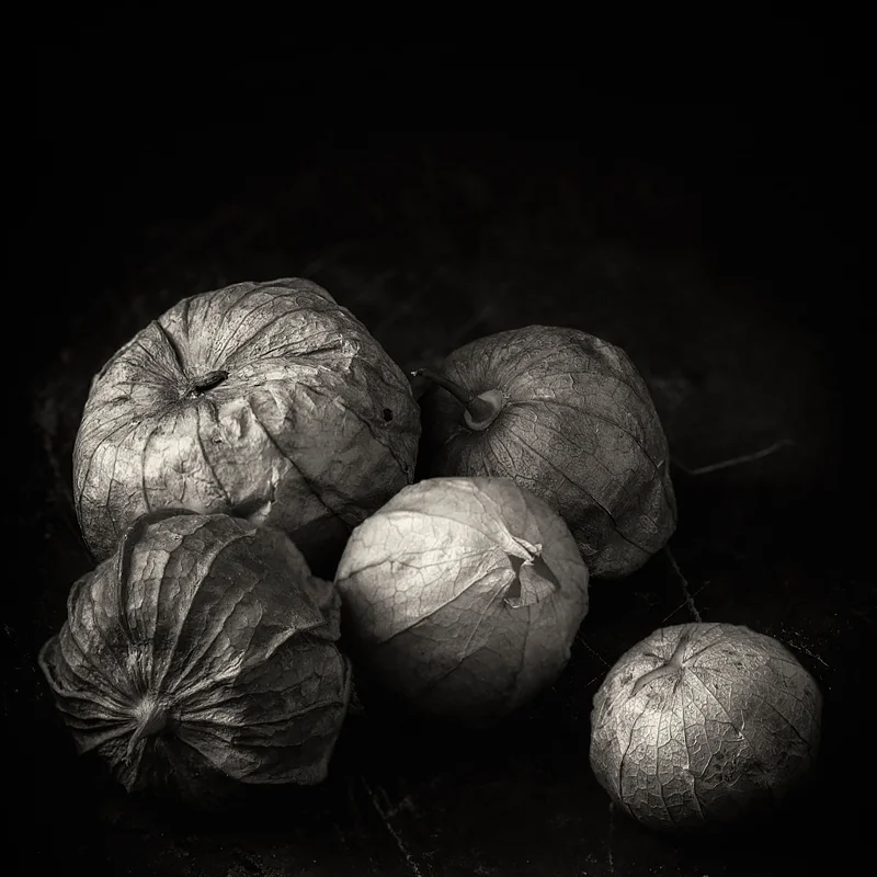 Tomatillos. ©2019 Lee Anne White.