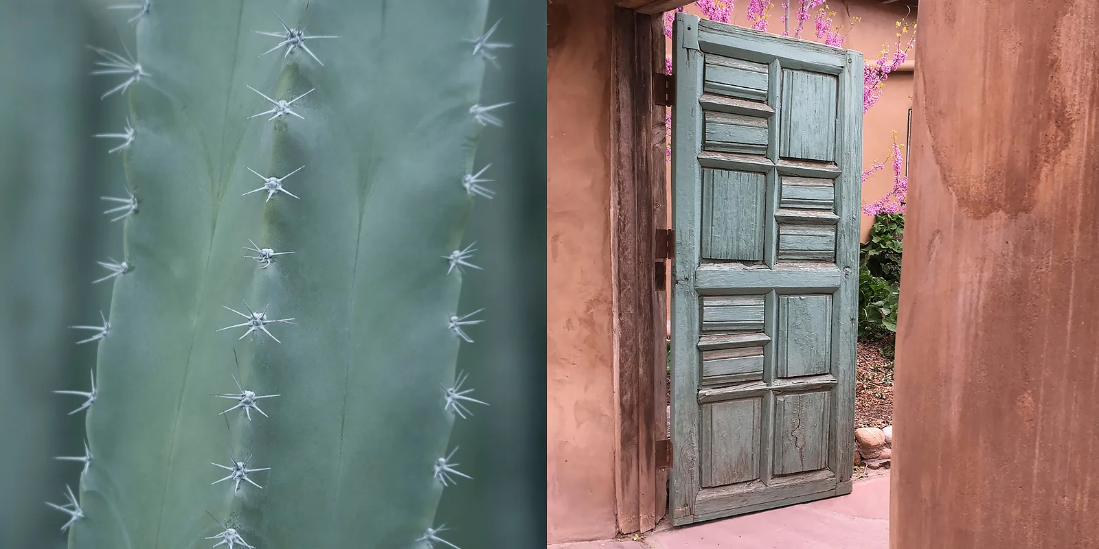 Captured in Santa Fe, New Mexico. ©Lee Anne White