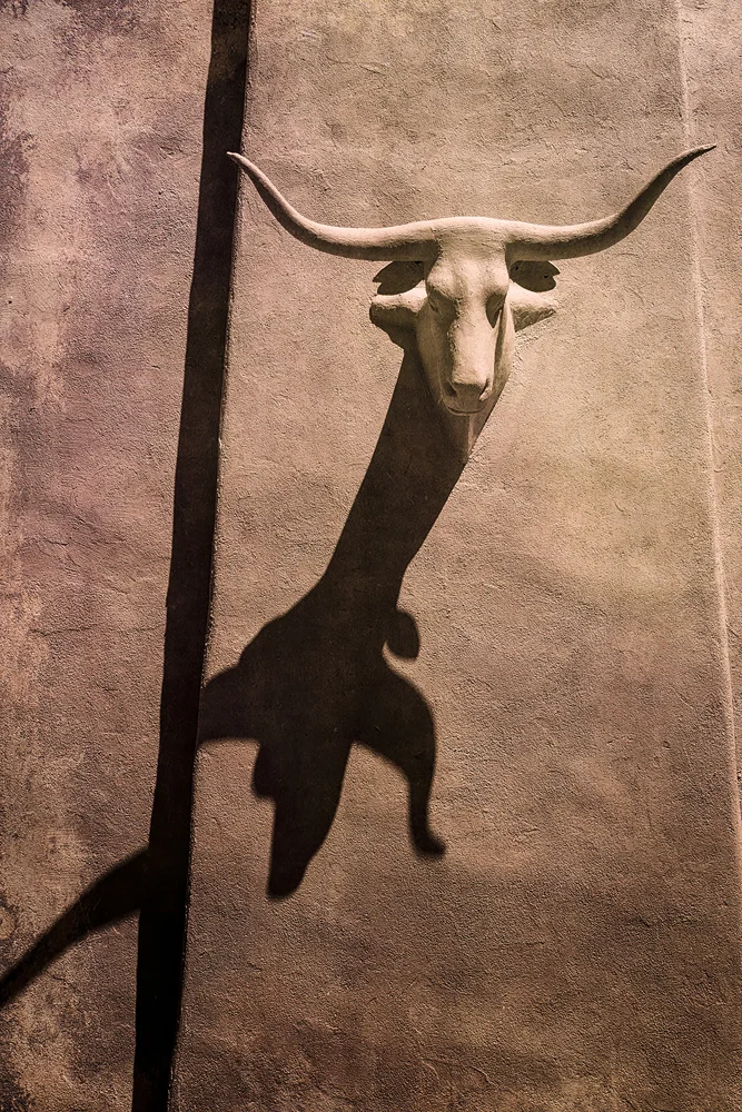 ©Sara Gray